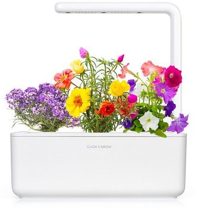 Умный сад Click&Grow Smart Garden 3